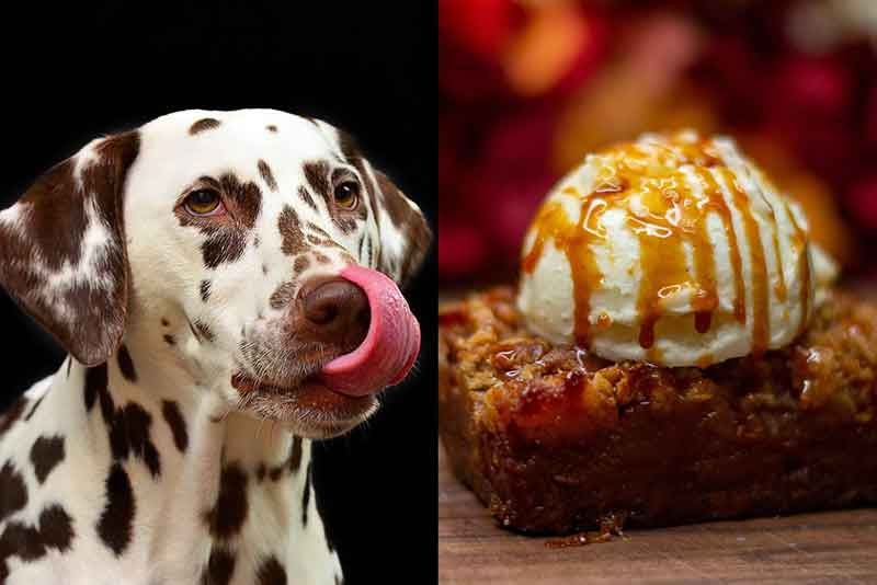 Can Dogs Eat Caramel? Is it safe? All You Need To Know