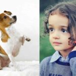 Are Jack Russells Good With Kids? Truth + Tips