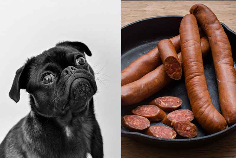 Can Dogs Eat Cooked Sausages? Breakfast Sausage? Gravy Or Patties? 
