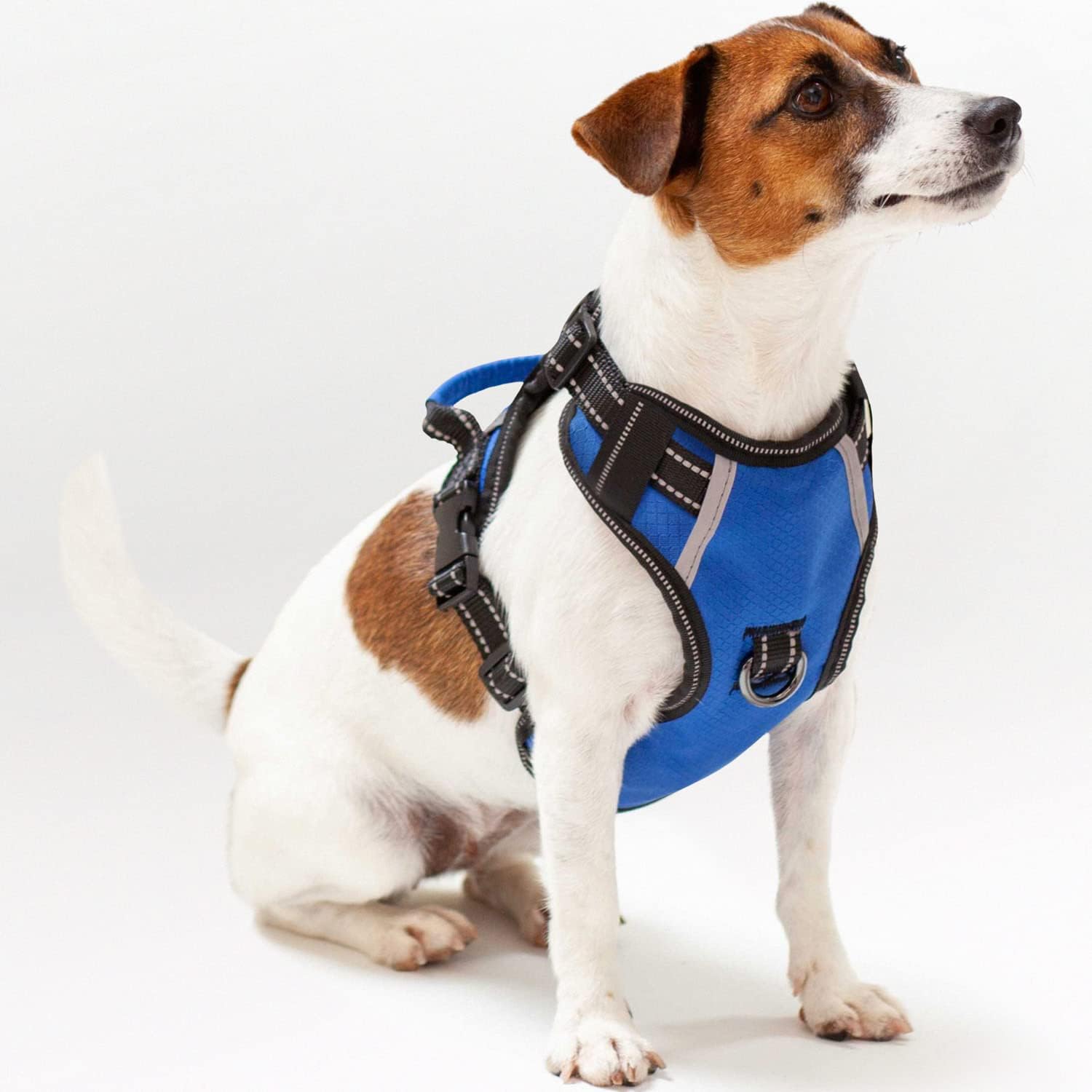 Puwihoe No Pull Dog Harness Review