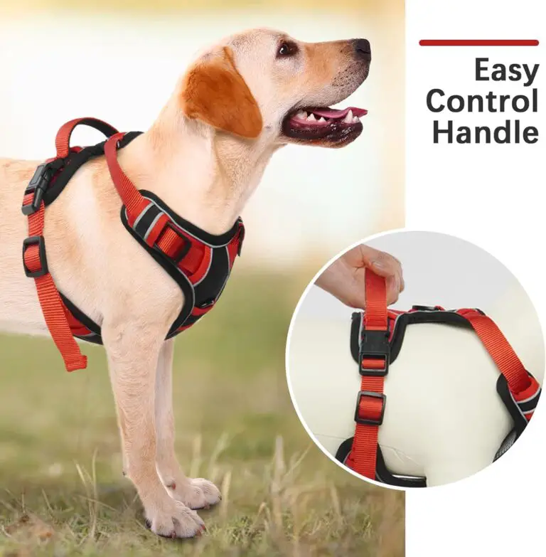 Kuoser Dog Harness Review