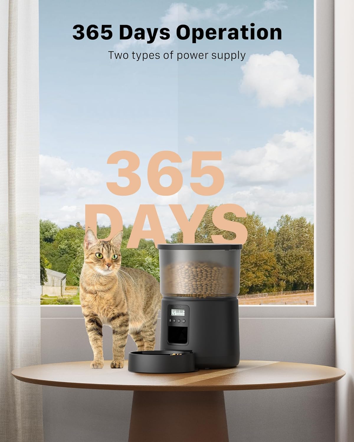 BEMOONY Automatic Cat Feeder, Cat Food Dispenser with 1-6 Meals, Customized Feeding Schedule for Cats  Dogs, Dual Power Supply, Double Lock, 10s Voice, 3L Cat Feeder Including Desiccant Bag