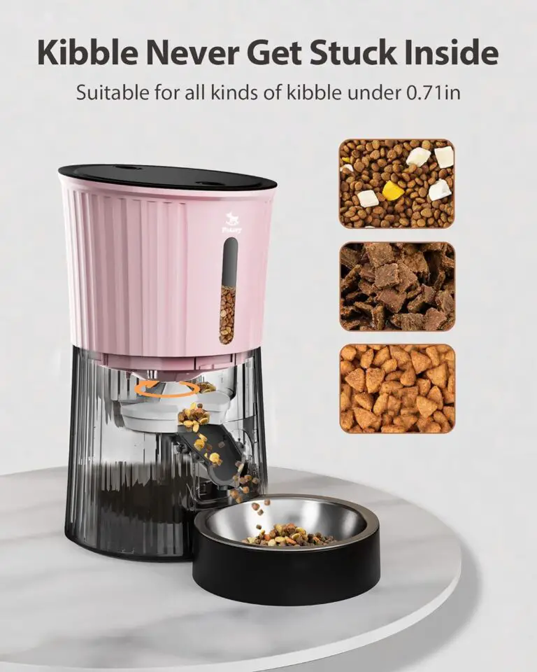 Petory Timed Automatic Cat Feeders / Dog Feeder Review