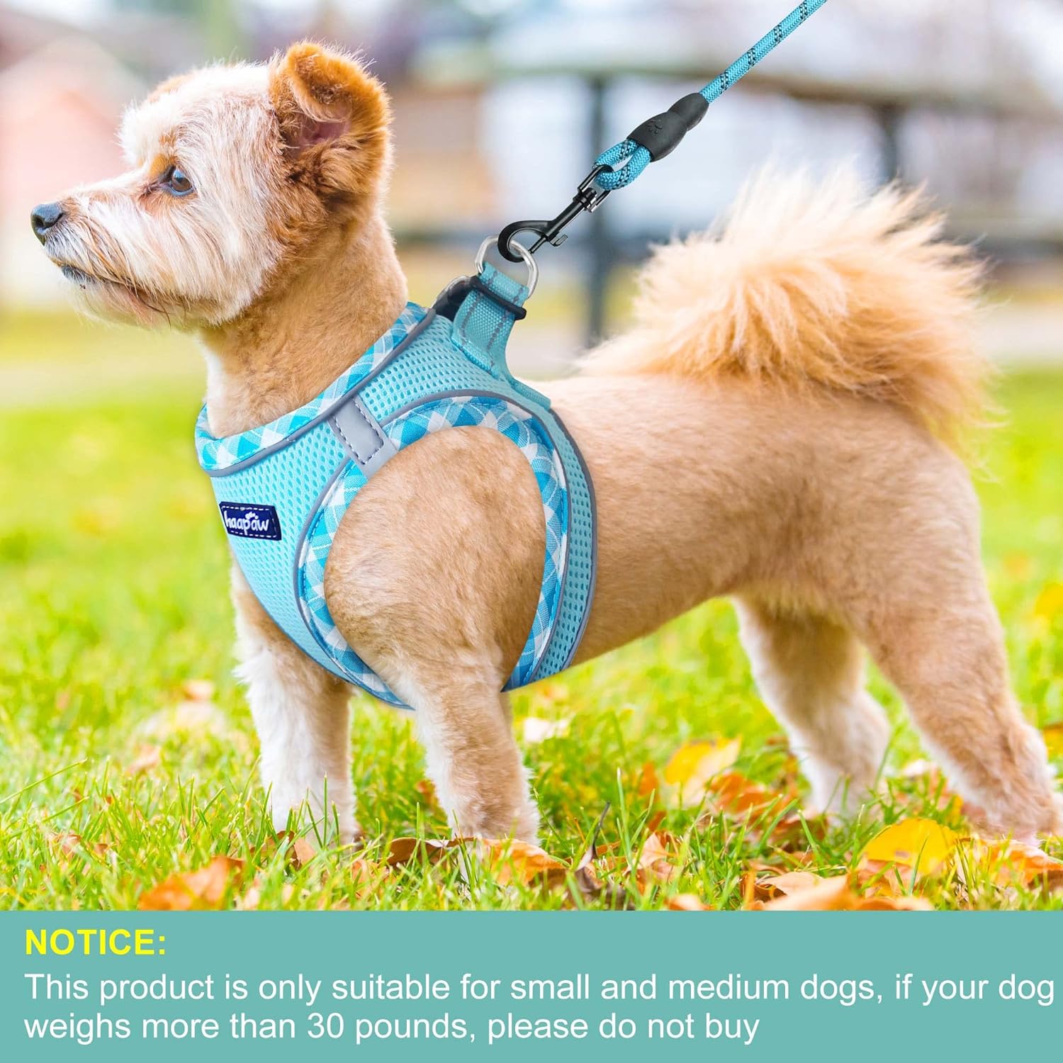 haapaw Dog Harness with Leash Set, No Pull Adjustable Reflective Step-in Puppy Harness with Thickened Padded Vest for Extra-Small/Small Medium Dogs