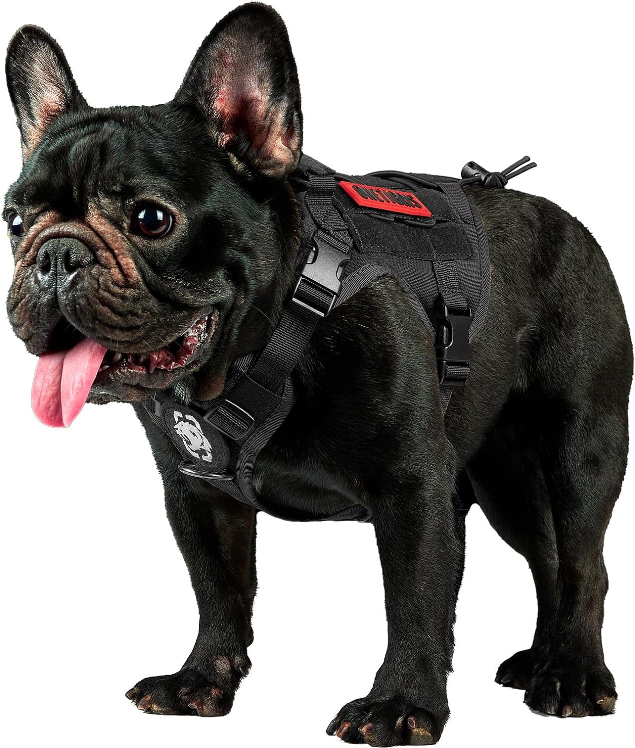 OneTigris Tactical Dog Harness Vest,No-Pull Service Dog Vest with Hook  Loop Panels,Adjustable Dog Vest Harness for Walking Hiking Training(Black,XXS)