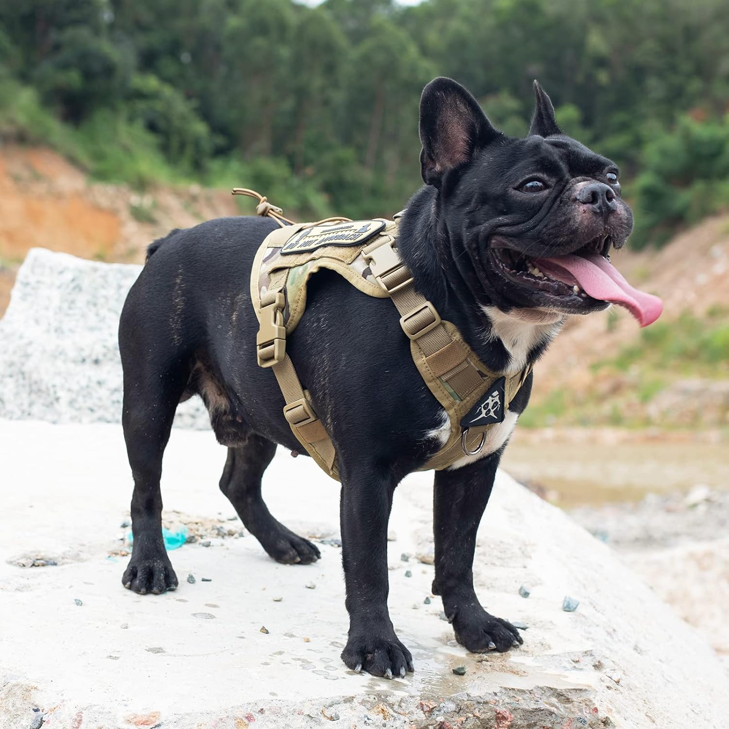 OneTigris Tactical Dog Harness Vest,No-Pull Service Dog Vest with Hook  Loop Panels,Adjustable Dog Vest Harness for Walking Hiking Training(Black,XXS)