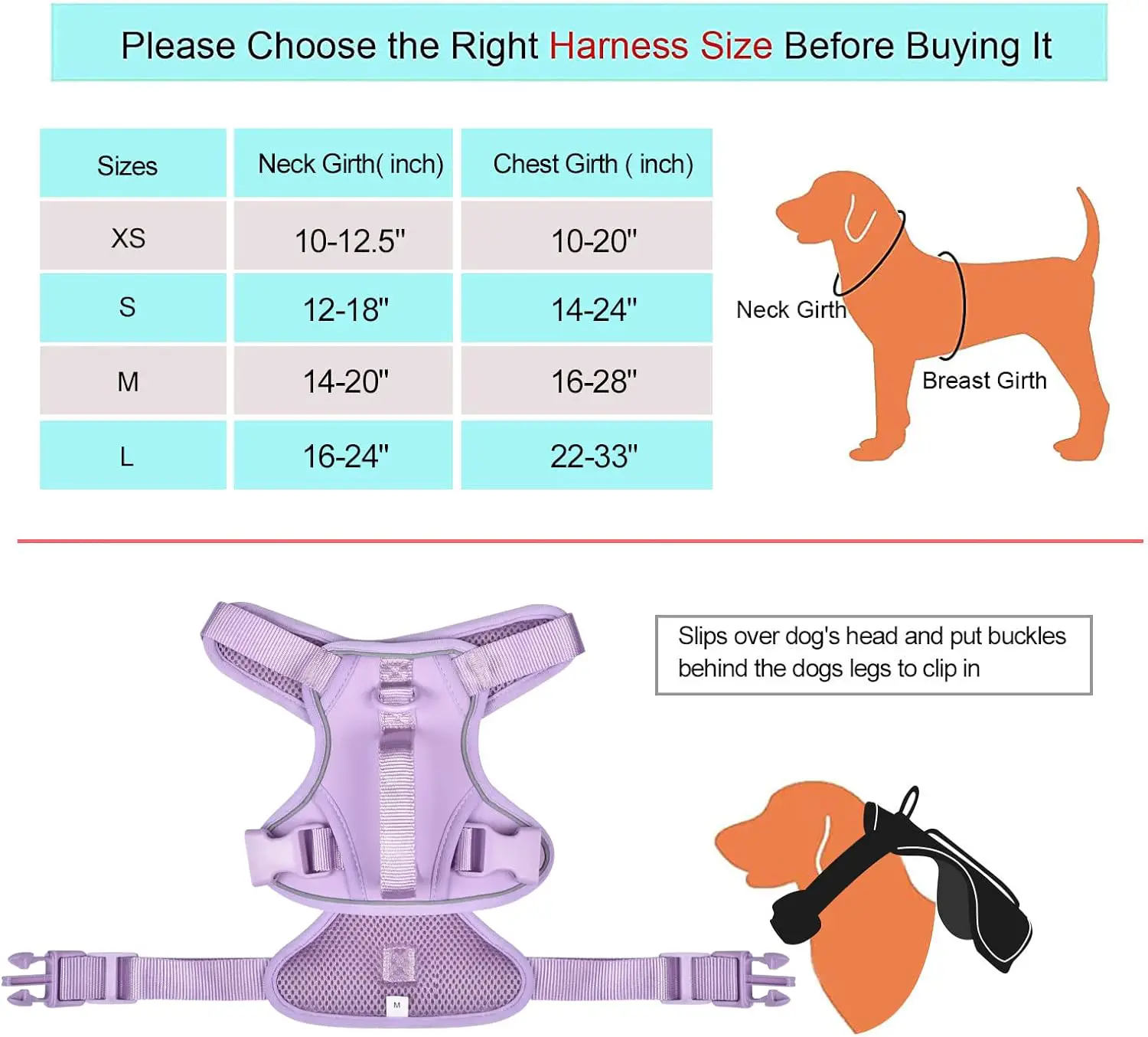 Petmolico Dog Harness for Small Dogs No Pull, Cute Dog Harness with Two Leash Clips and Soft Handle, Reflective Easy Walk with Leash, Pink Small