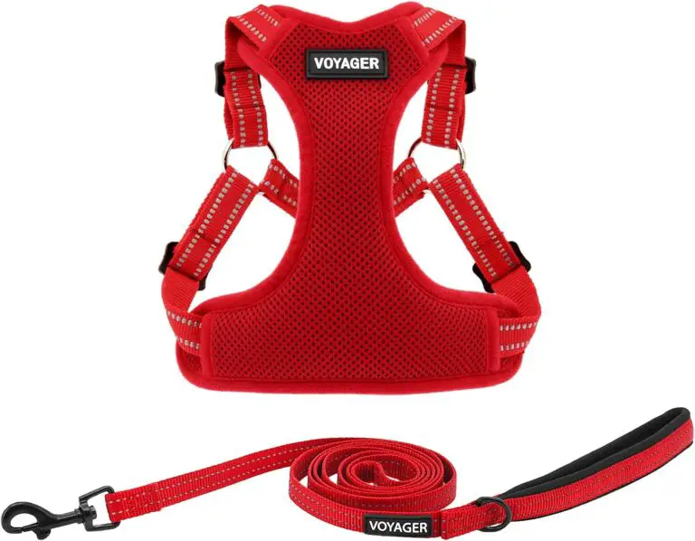 Best Pet Supplies Voyager Harness Review