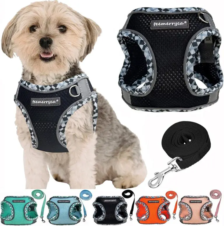 TEEMERRYCA No Pull Step in Small Dog Harness and Leash Set Review