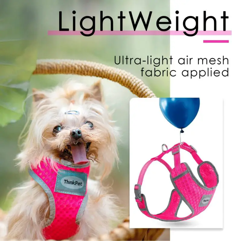 ThinkPet Reflective Breathable Soft Air Mesh Harness Review