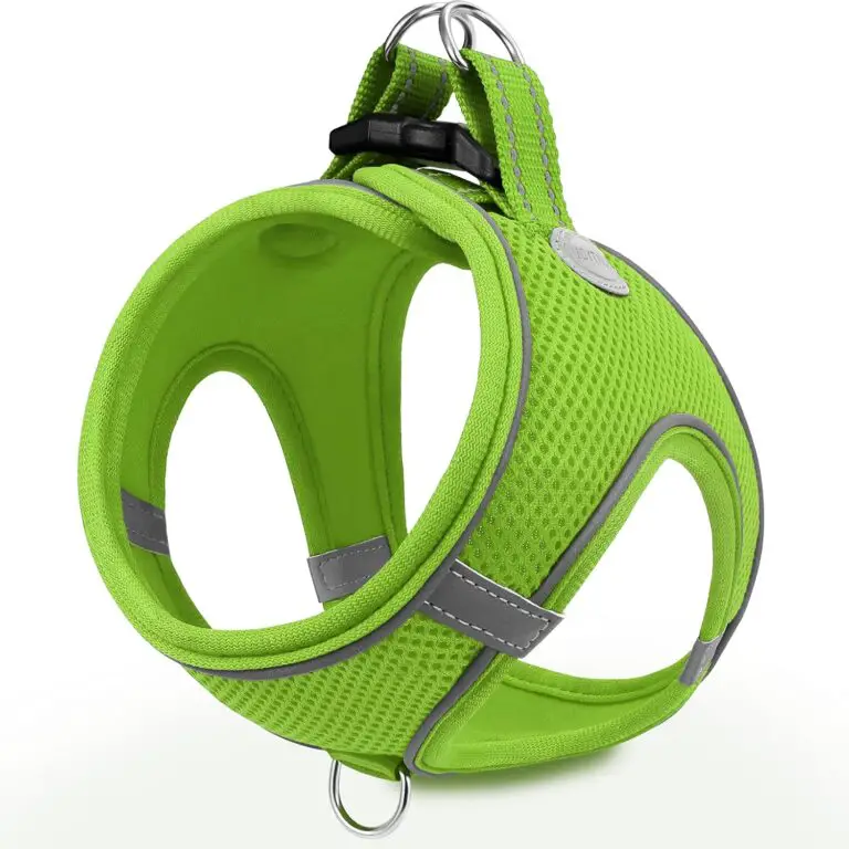 Joytale Step in Dog Harness Review