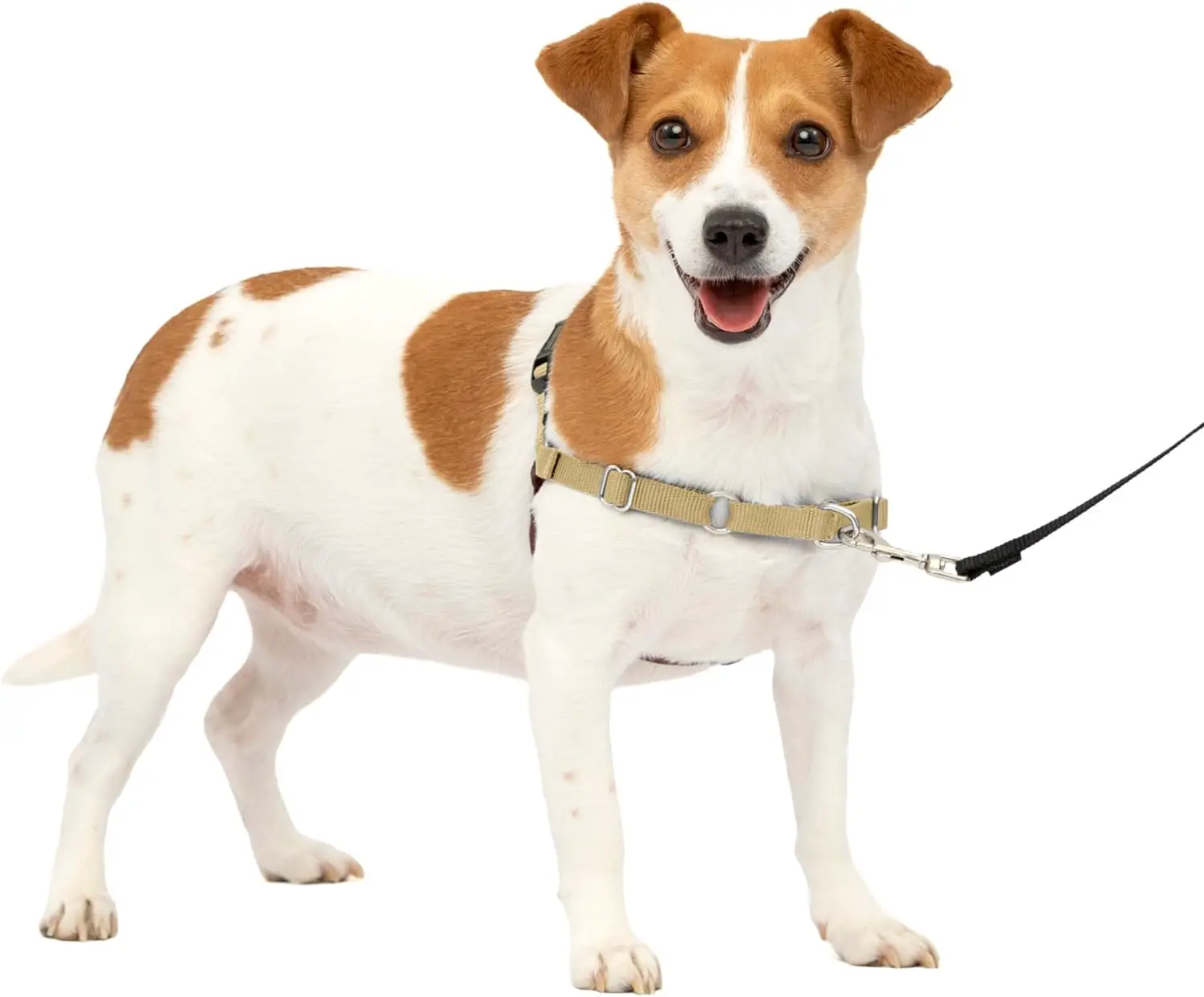 PetSafe Easy Walk Harness, Small, Brown for Dogs