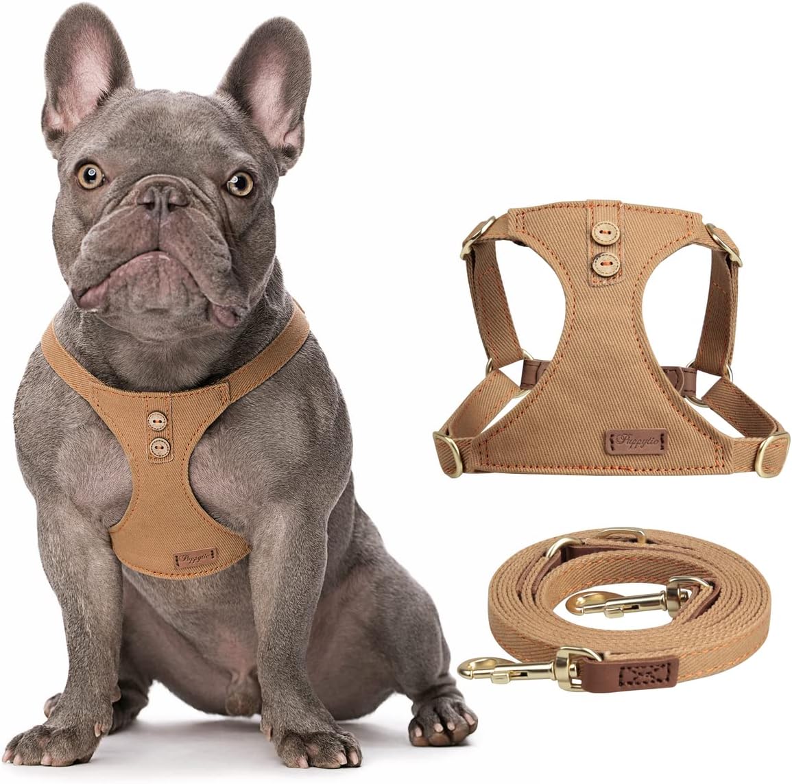 No Pull Small Dog Harness Review