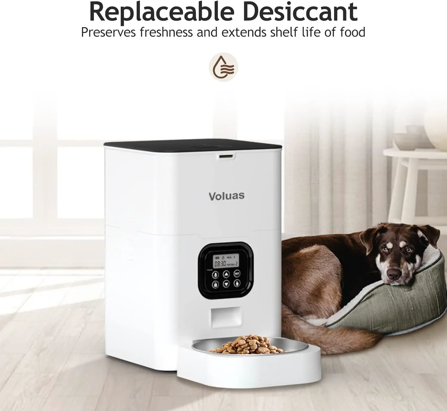 VOLUAS Automatic Cat Feeders - Timed Pet Feeder review