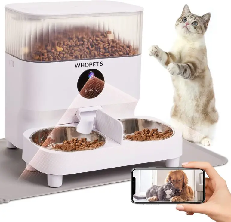 WHDPETS Automatic Cat Feeder Review [Dog Feeder]